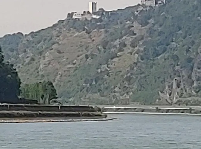 Apartamento Gaestehaus Rheinburgenblick